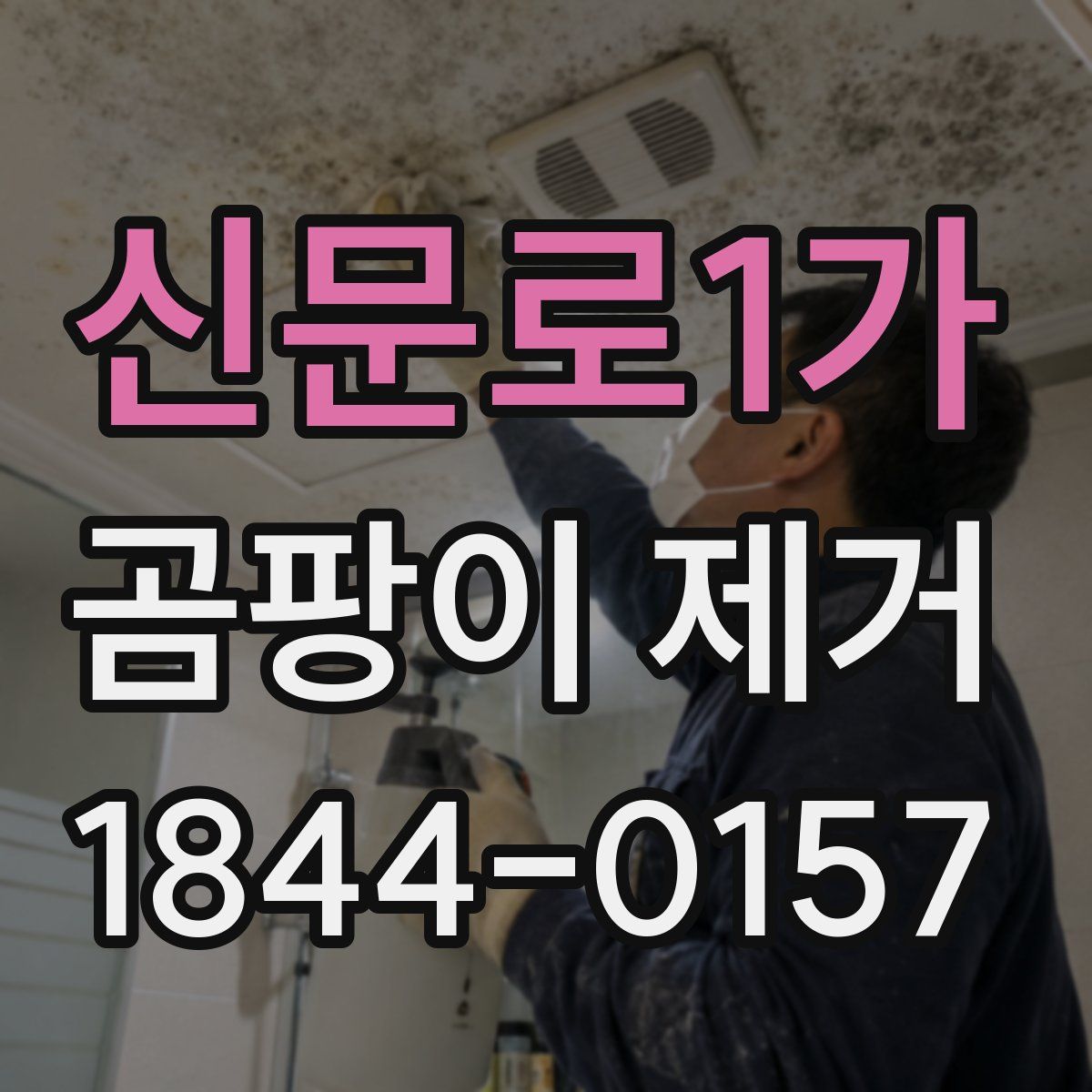 신문로1가 곰팡이 제거