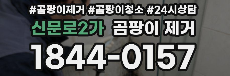 신문로2가 곰팡이 제거