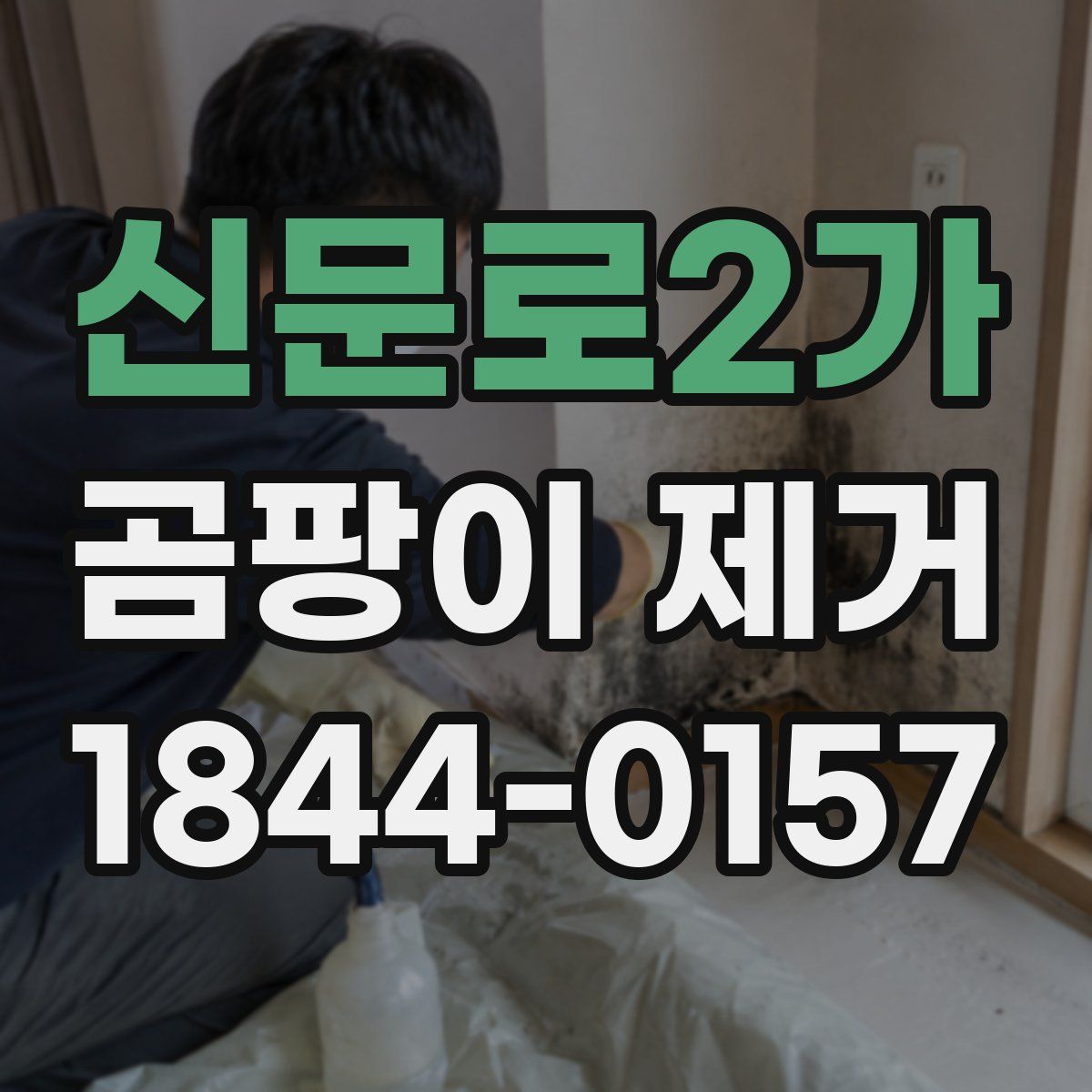 신문로2가 곰팡이 제거