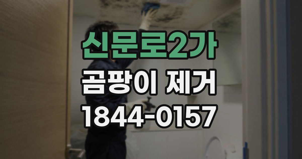 신문로2가 곰팡이 제거