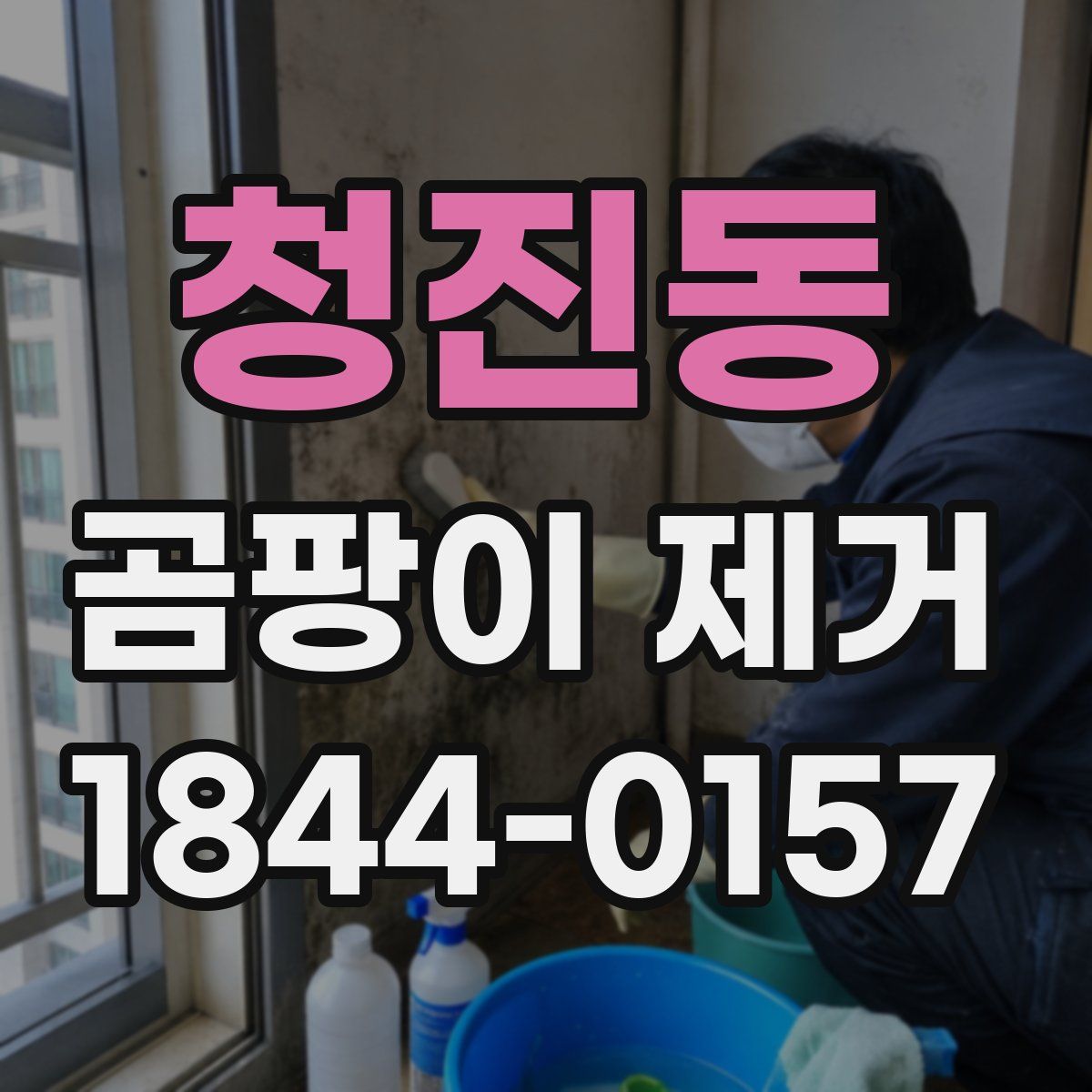 청진동 곰팡이 제거