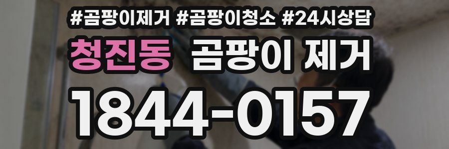 청진동 곰팡이 제거