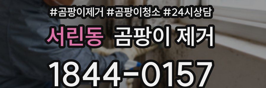서린동 곰팡이 제거
