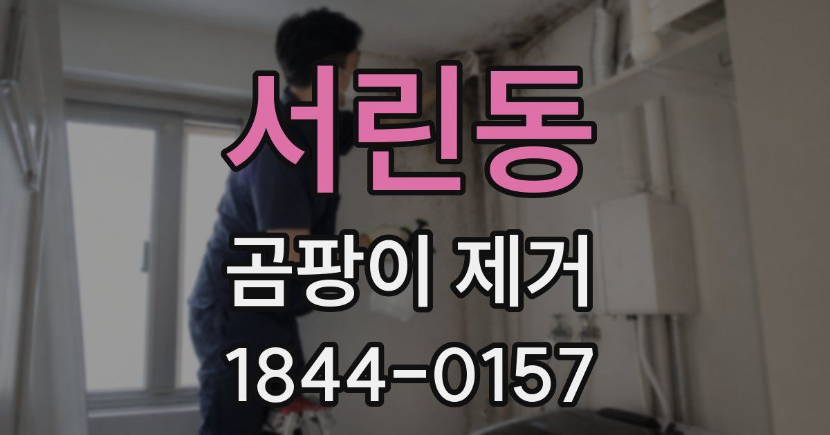 서린동 곰팡이 제거
