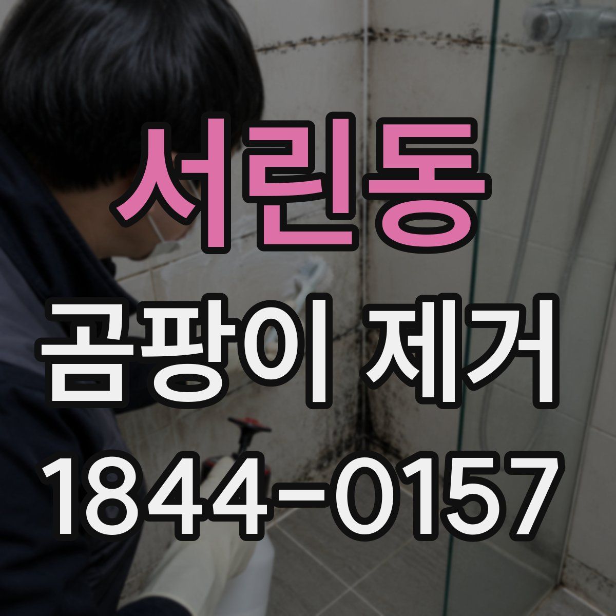 서린동 곰팡이 제거