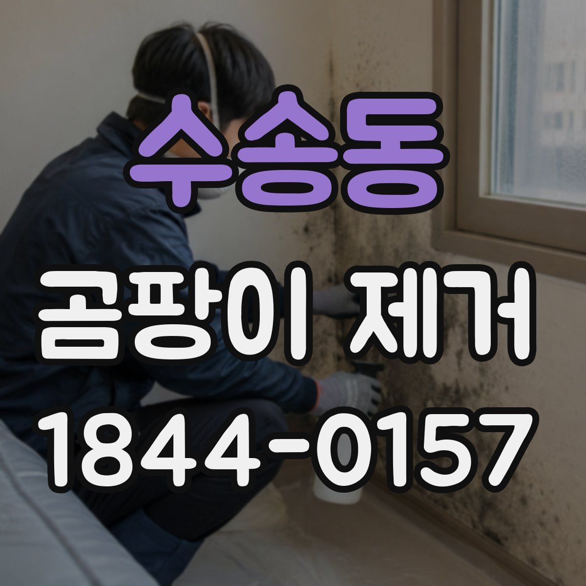 수송동 곰팡이 제거