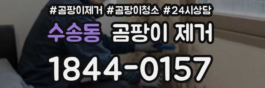 수송동 곰팡이 제거