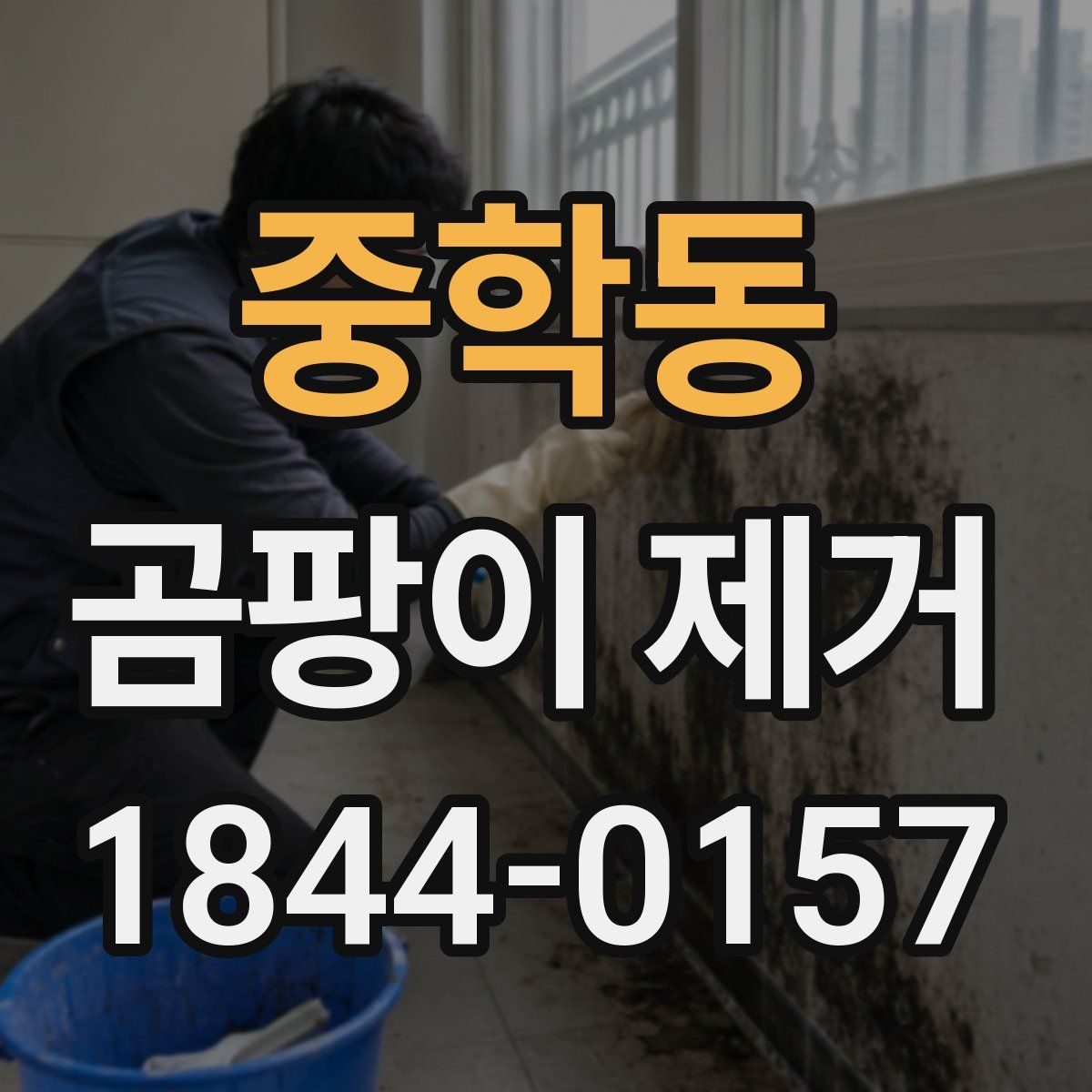 중학동 곰팡이 제거