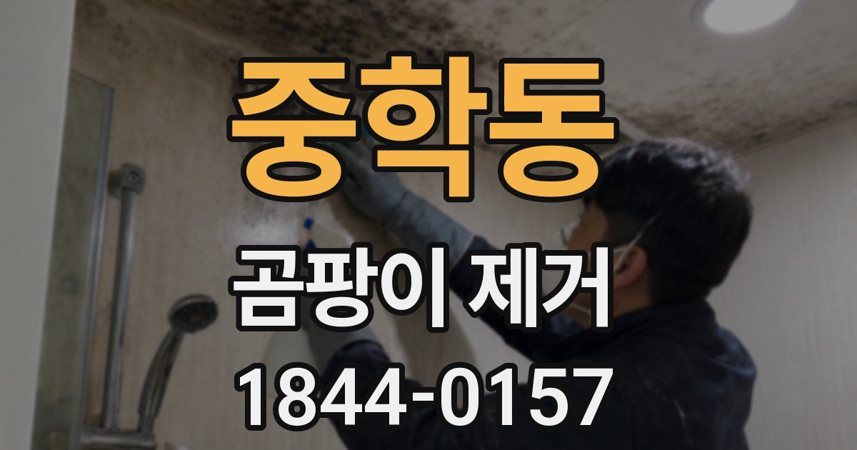 중학동 곰팡이 제거