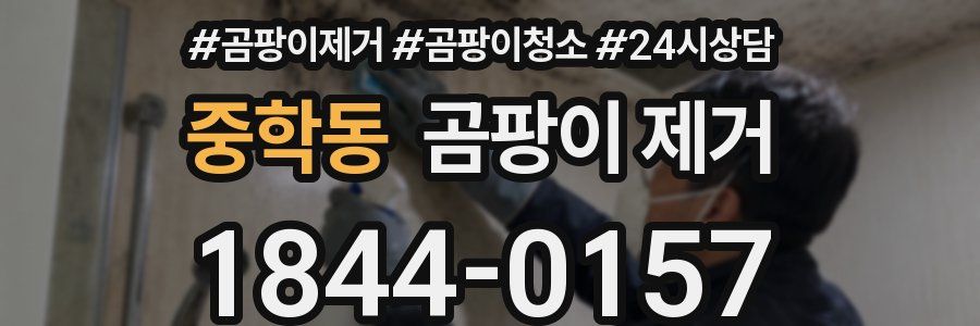 중학동 곰팡이 제거