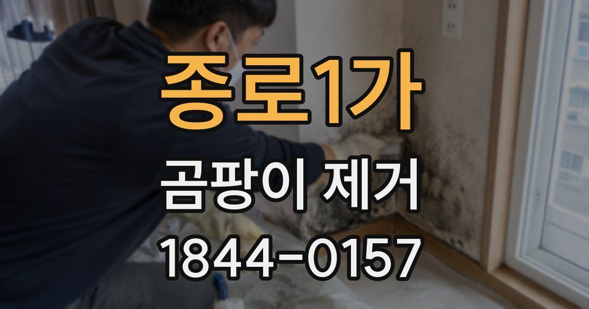 종로1가 곰팡이 제거