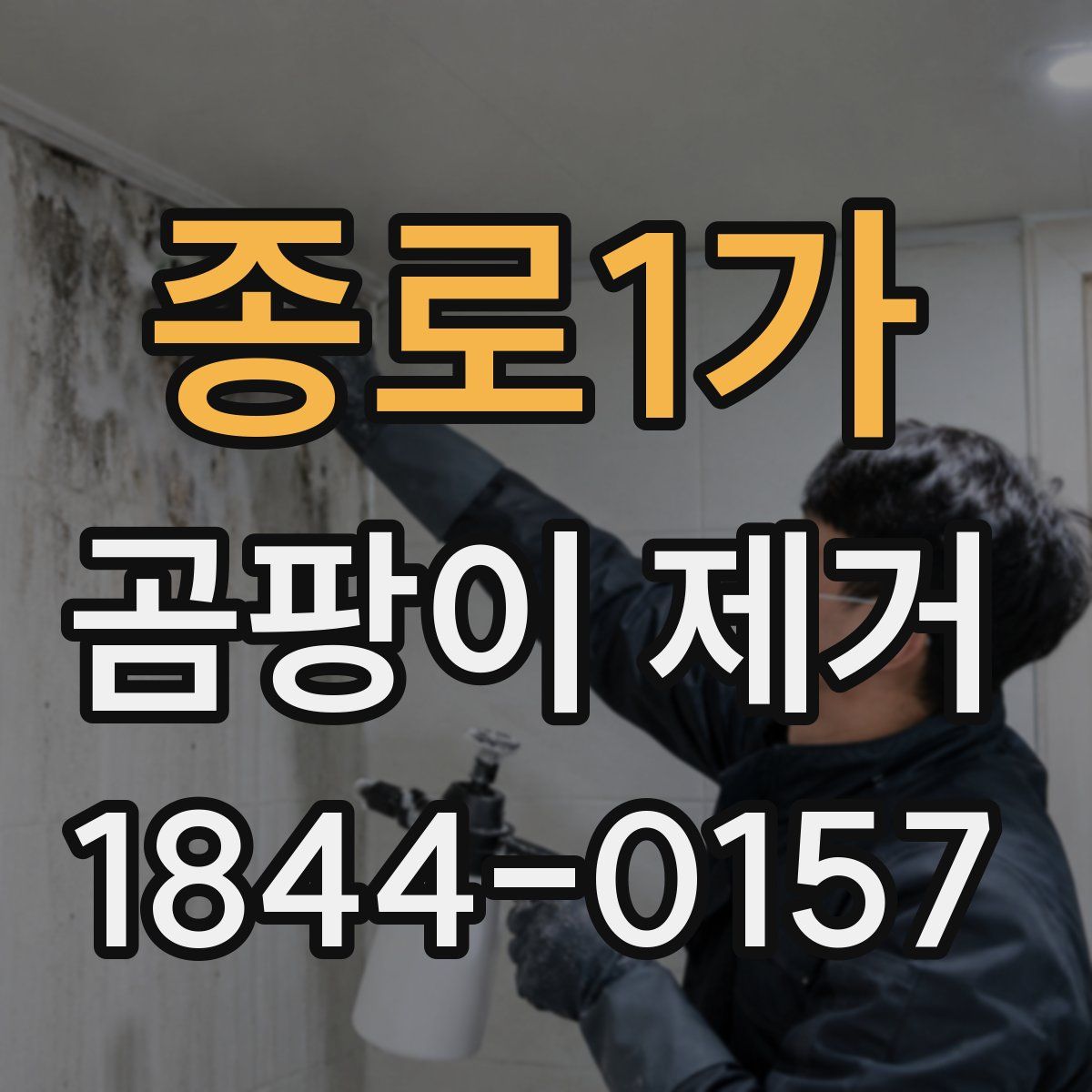 종로1가 곰팡이 제거