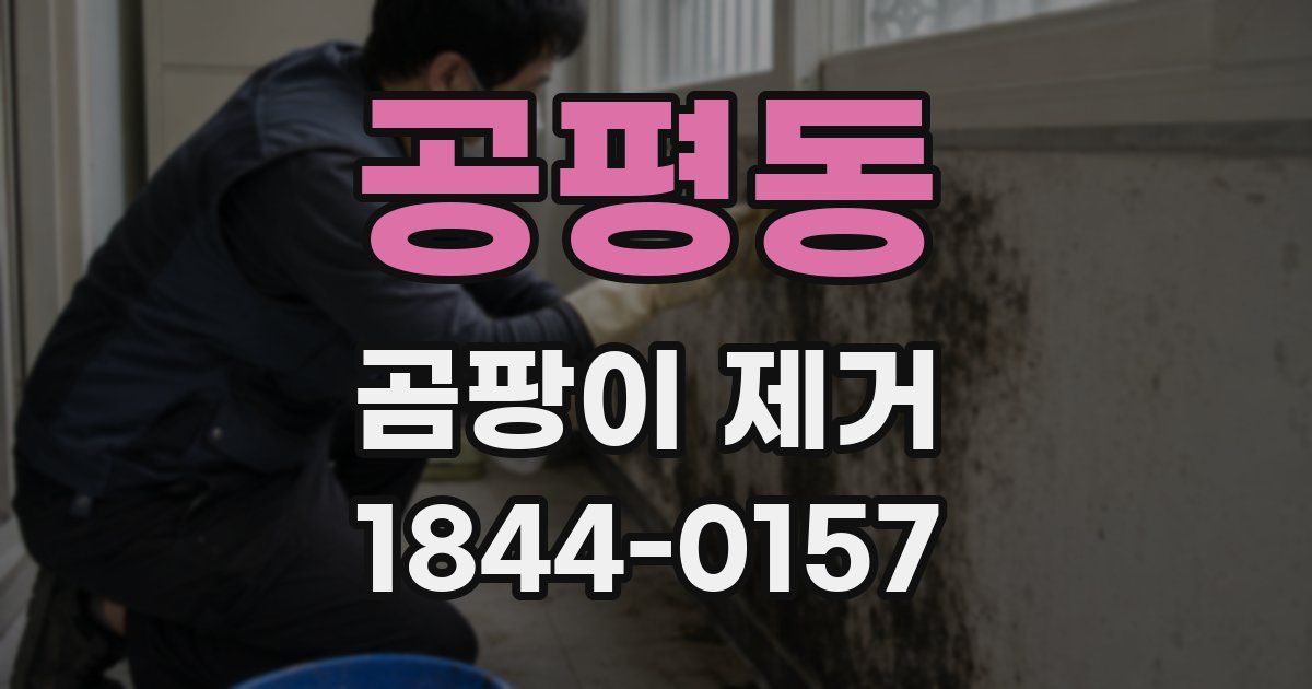 공평동 곰팡이 제거
