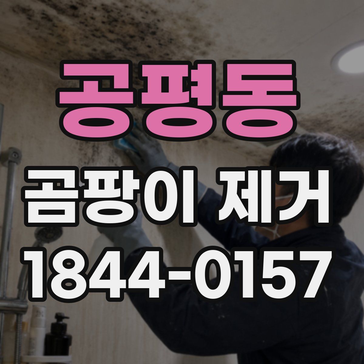 공평동 곰팡이 제거