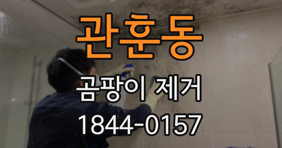 관훈동 곰팡이 제거