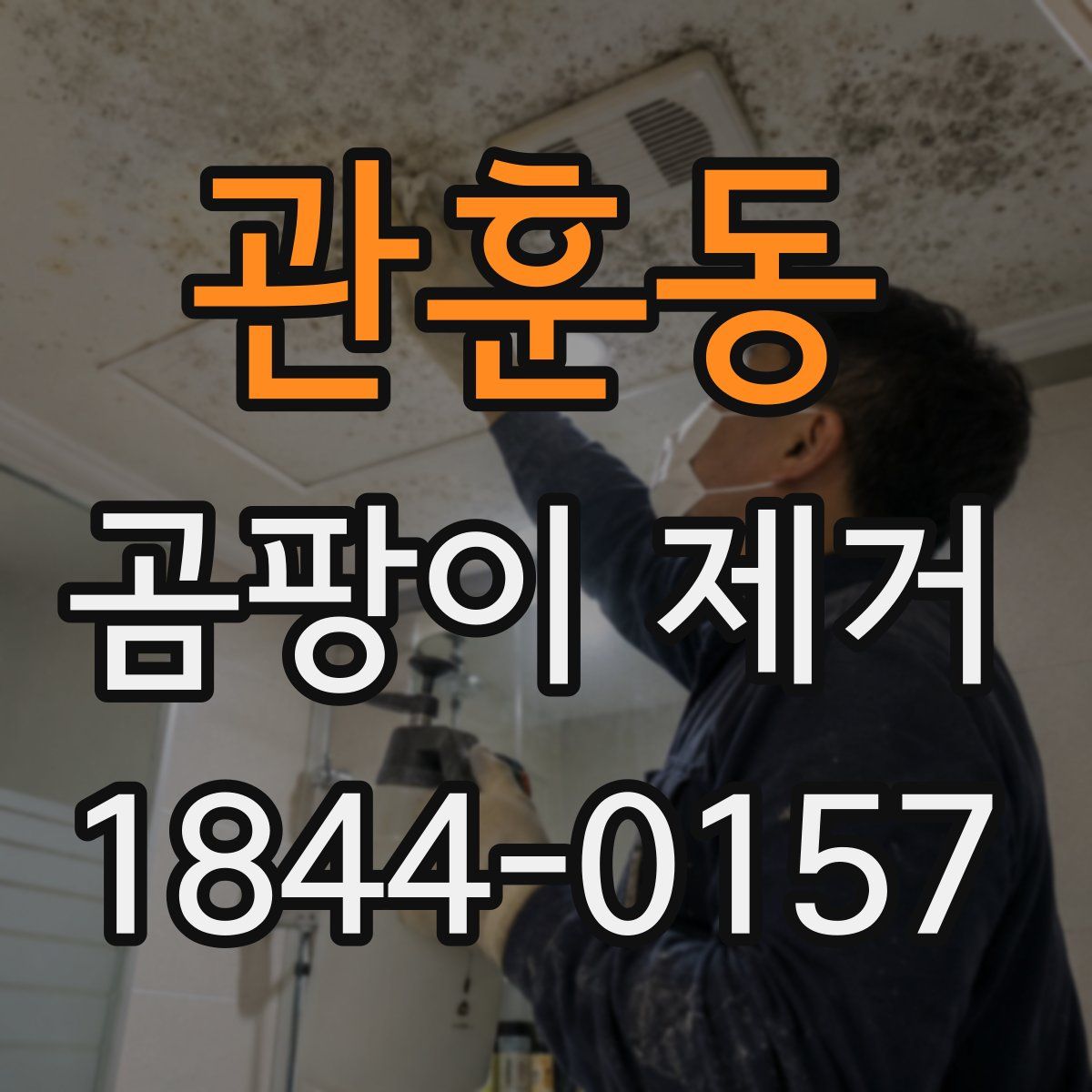 관훈동 곰팡이 제거