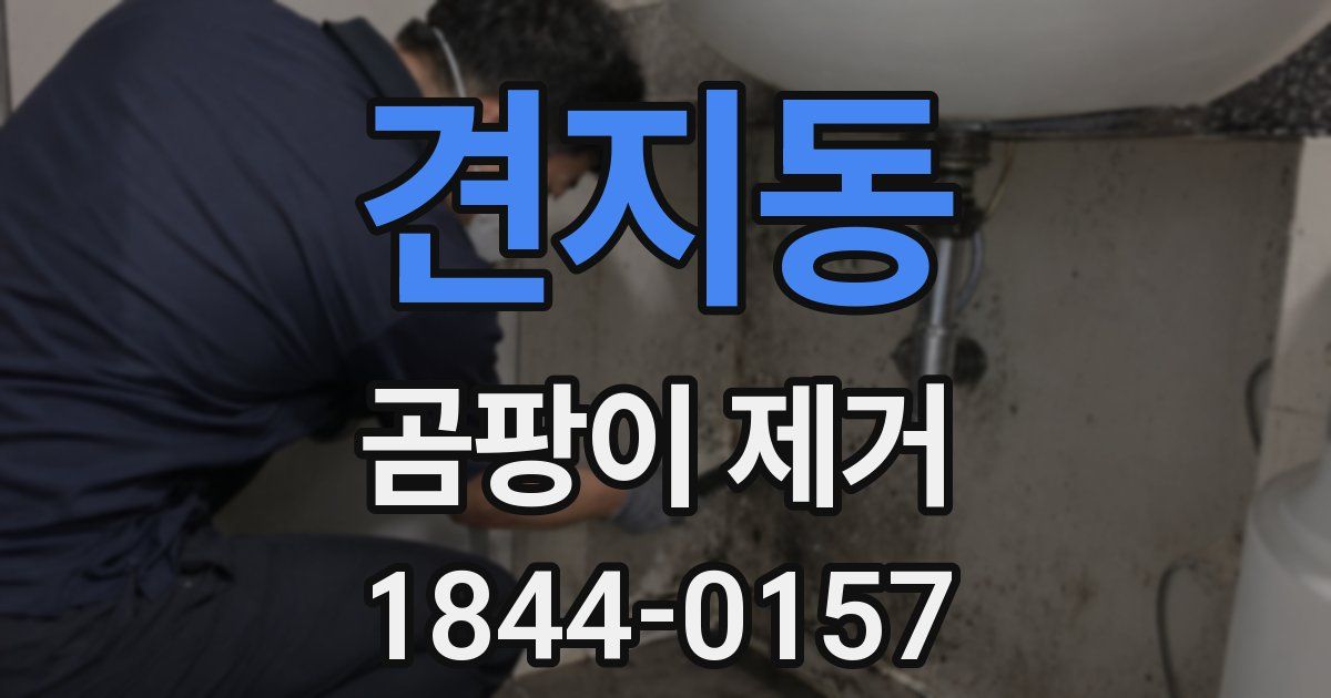 견지동 곰팡이 제거