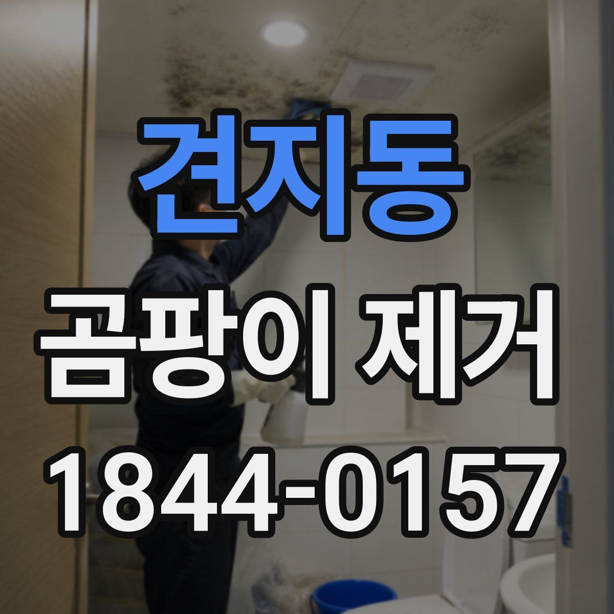 견지동 곰팡이 제거