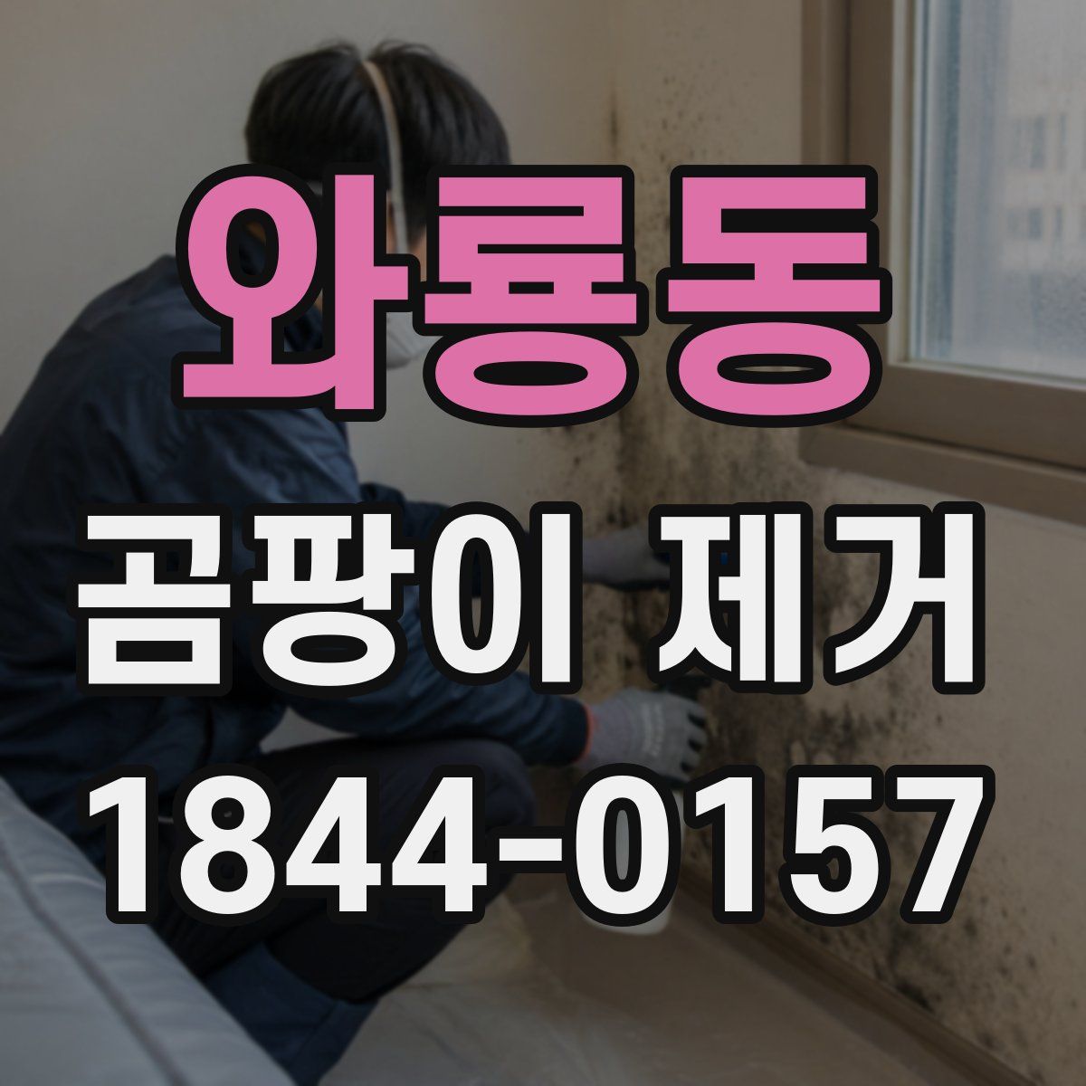 와룡동 곰팡이 제거