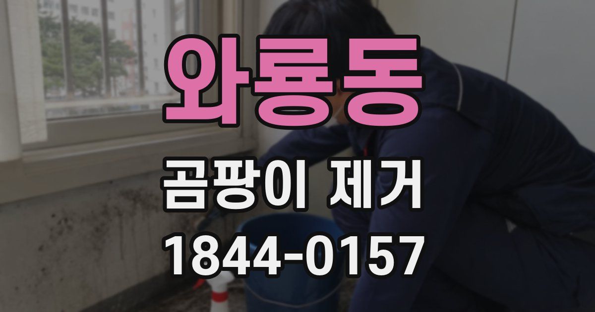 와룡동 곰팡이 제거