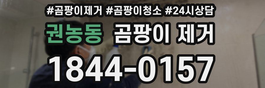 권농동 곰팡이 제거