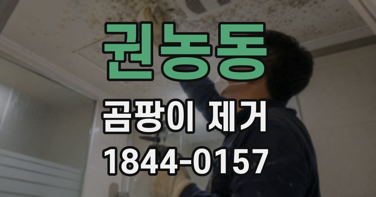 권농동 곰팡이 제거