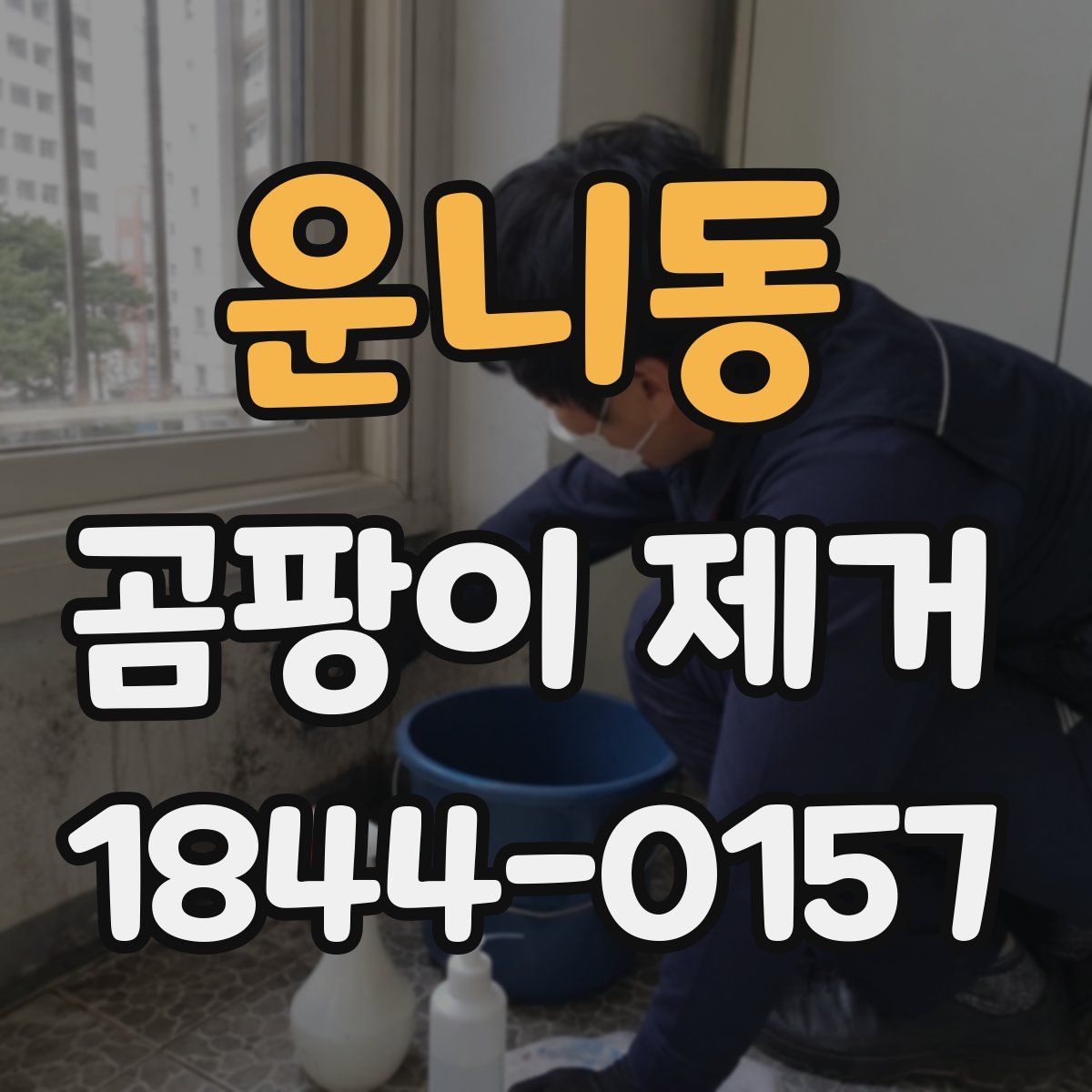 운니동 곰팡이 제거