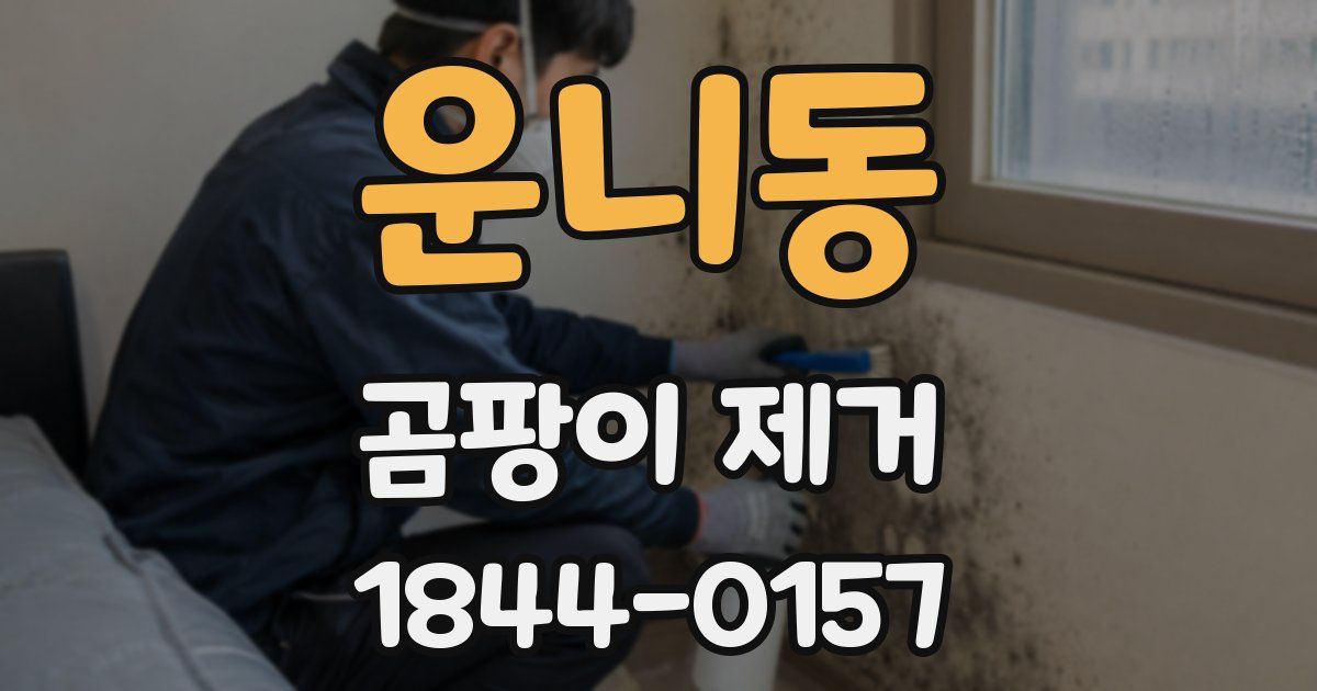 운니동 곰팡이 제거
