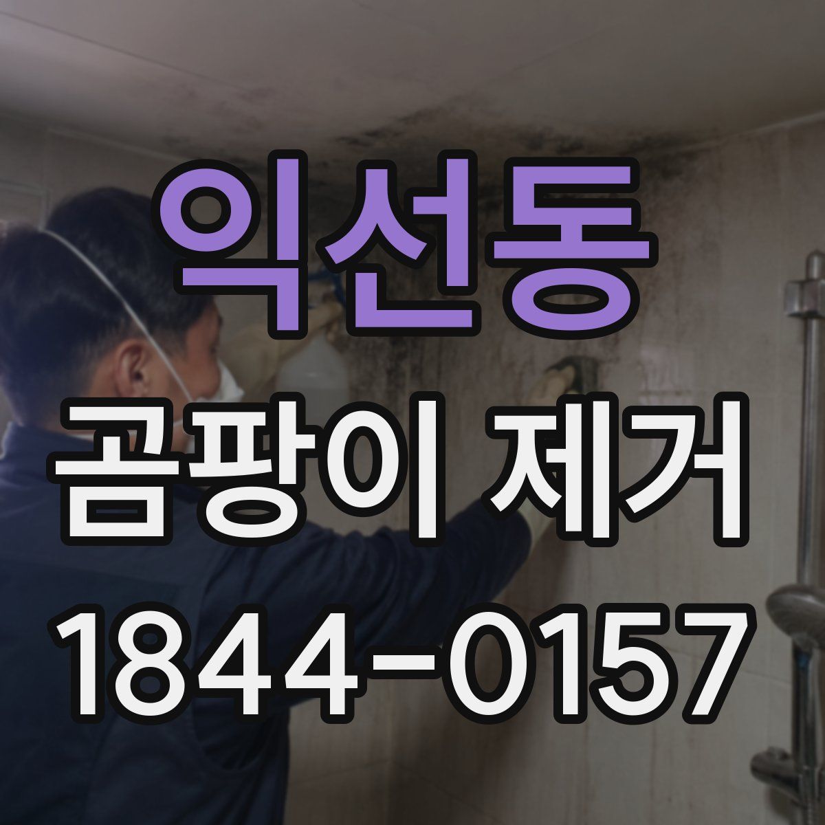 익선동 곰팡이 제거