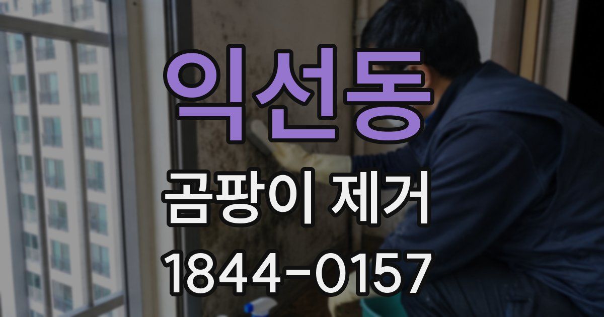 익선동 곰팡이 제거
