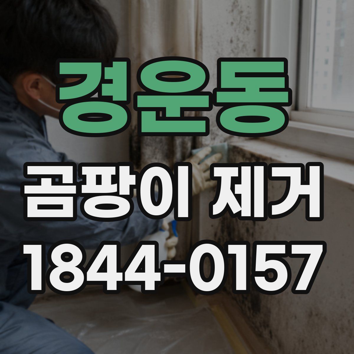 경운동 곰팡이 제거