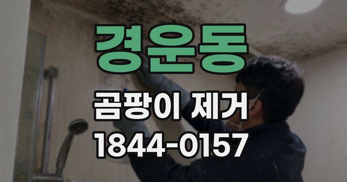 경운동 곰팡이 제거