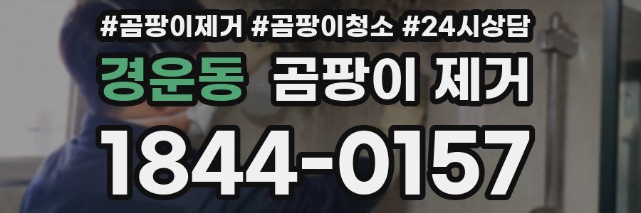 경운동 곰팡이 제거