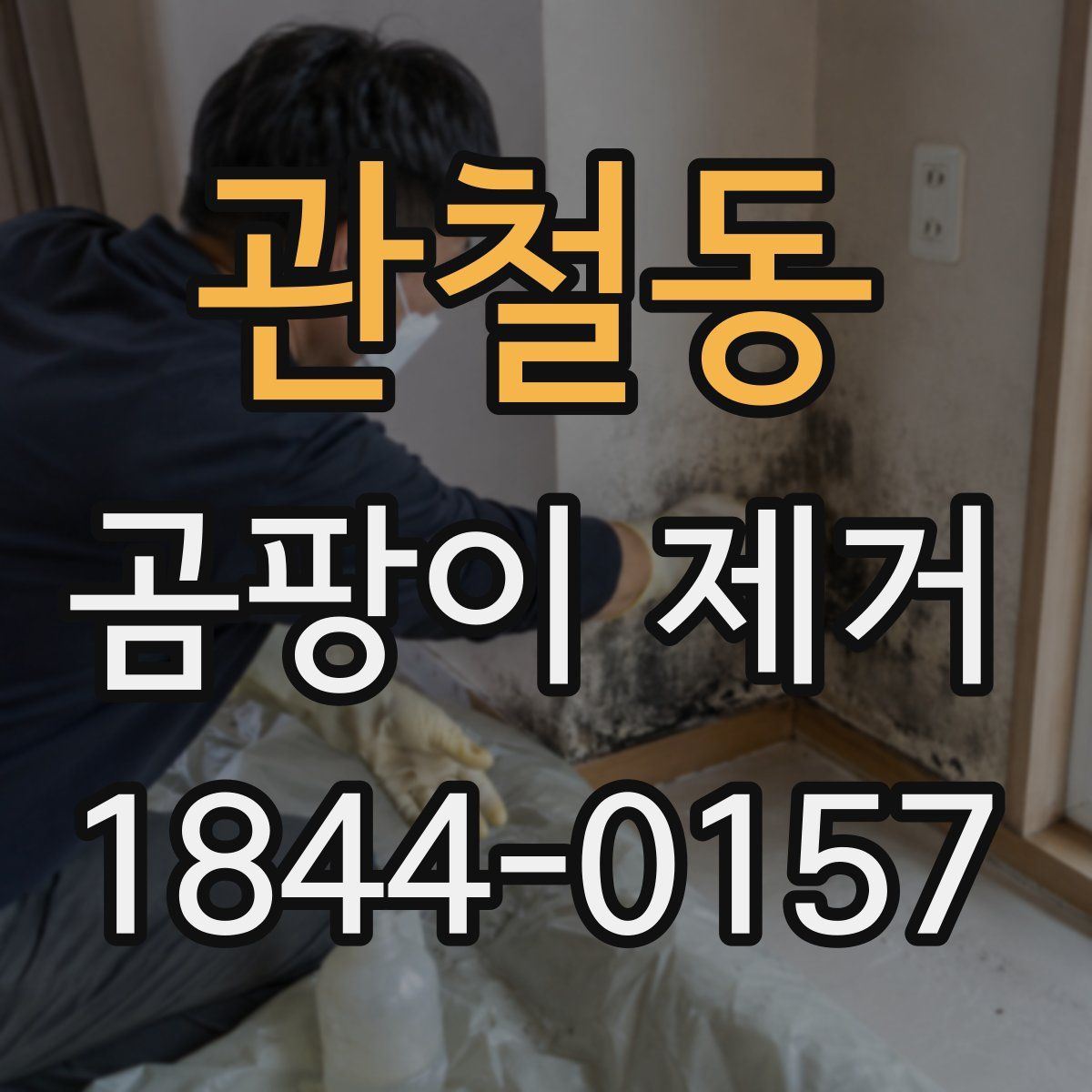 관철동 곰팡이 제거