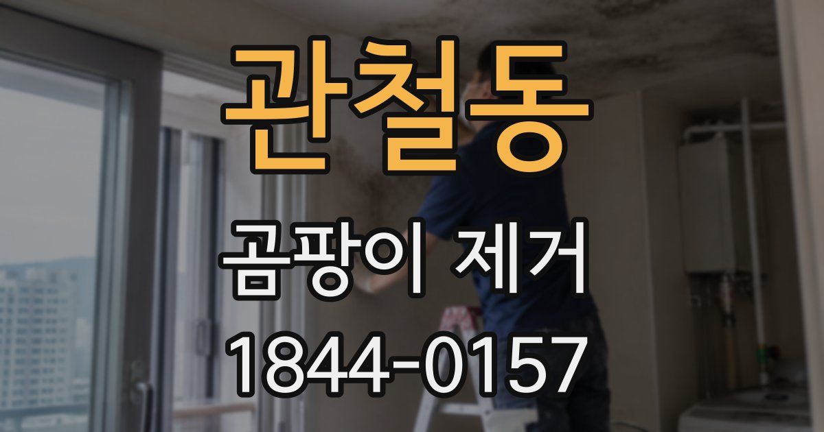 관철동 곰팡이 제거