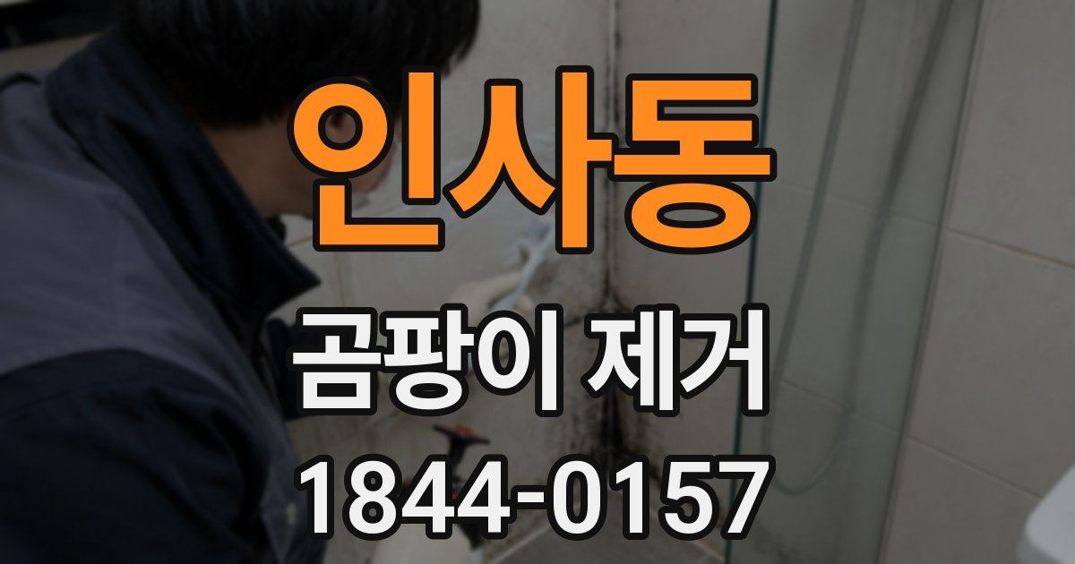 인사동 곰팡이 제거
