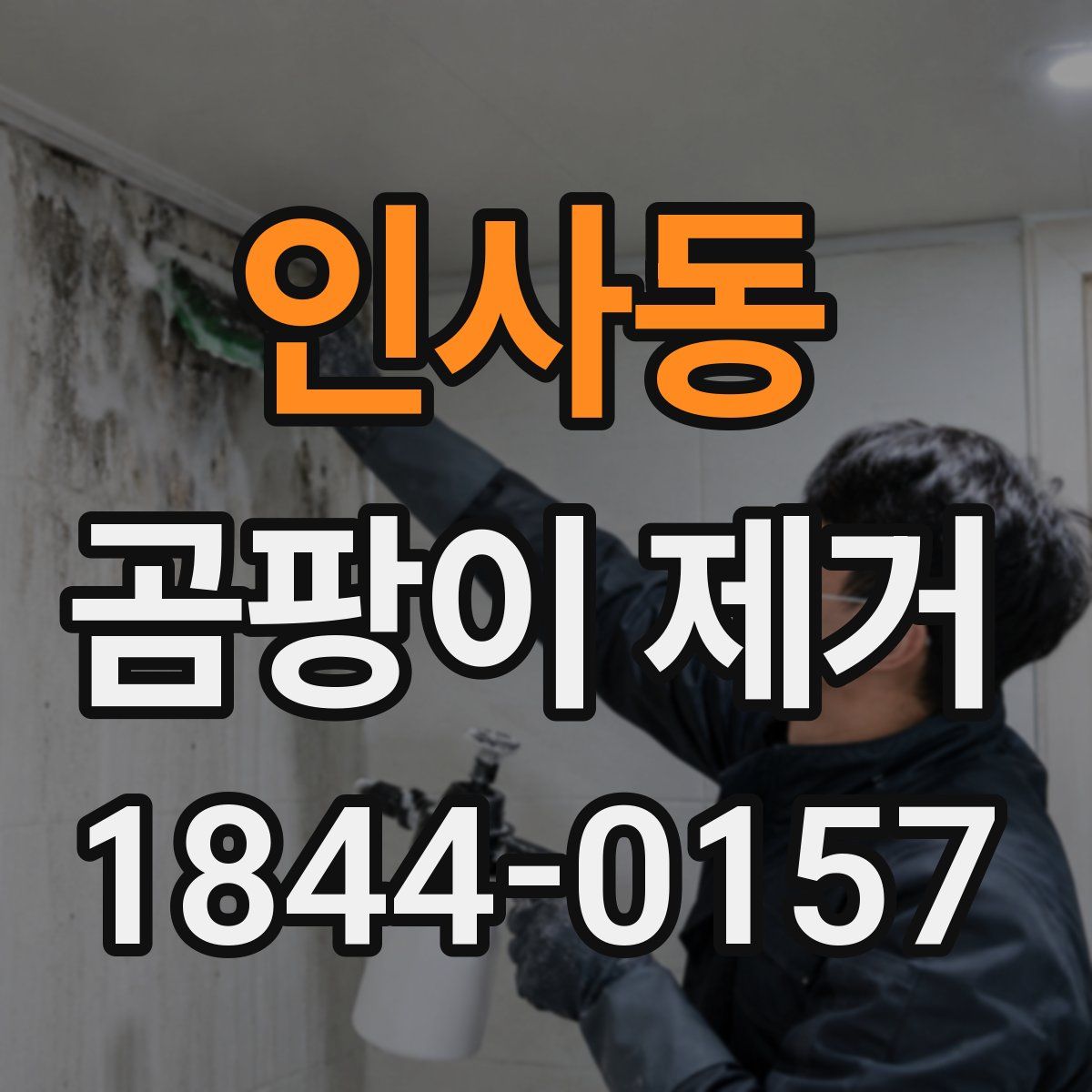 인사동 곰팡이 제거