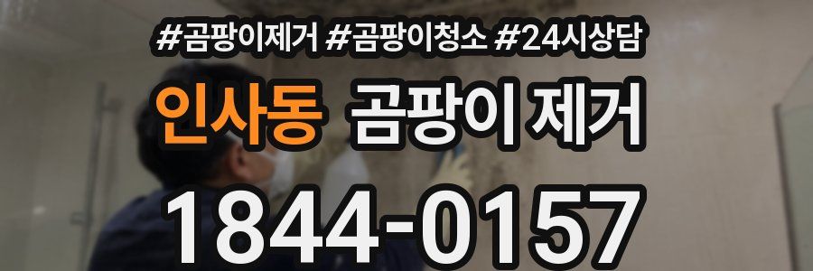 인사동 곰팡이 제거