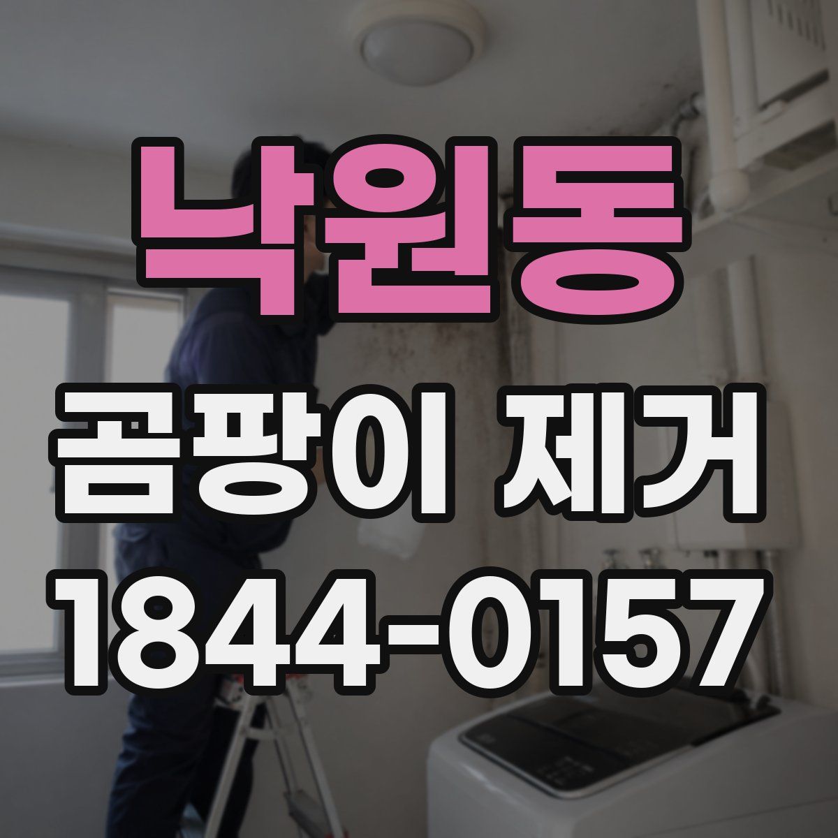 낙원동 곰팡이 제거