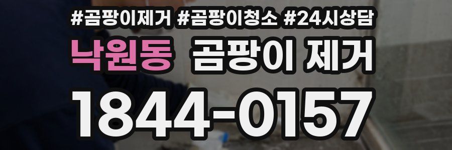낙원동 곰팡이 제거
