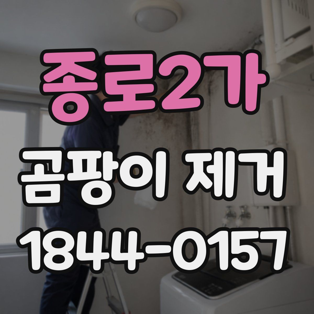 종로2가 곰팡이 제거