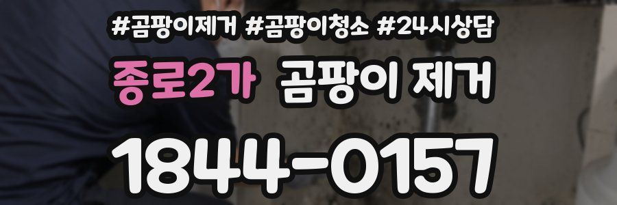 종로2가 곰팡이 제거