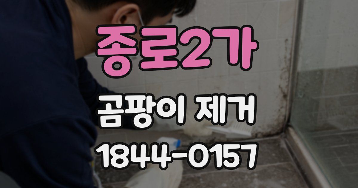 종로2가 곰팡이 제거