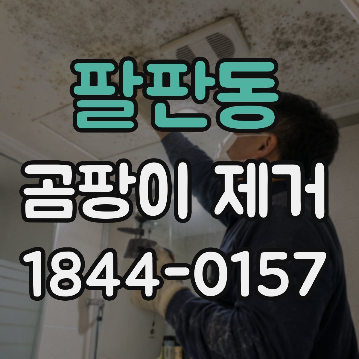 팔판동 곰팡이 제거