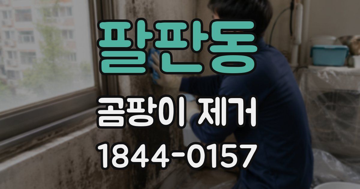 팔판동 곰팡이 제거