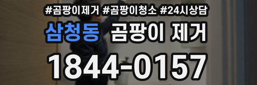 삼청동 곰팡이 제거