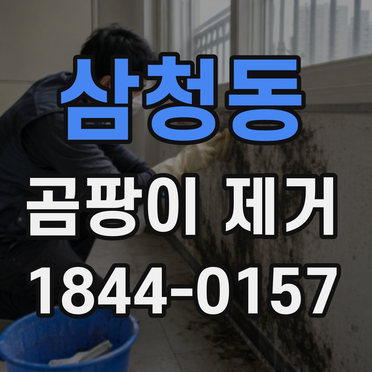 삼청동 곰팡이 제거