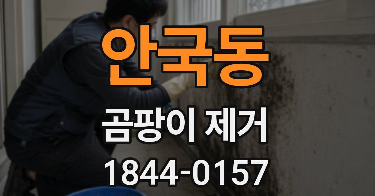 안국동 곰팡이 제거