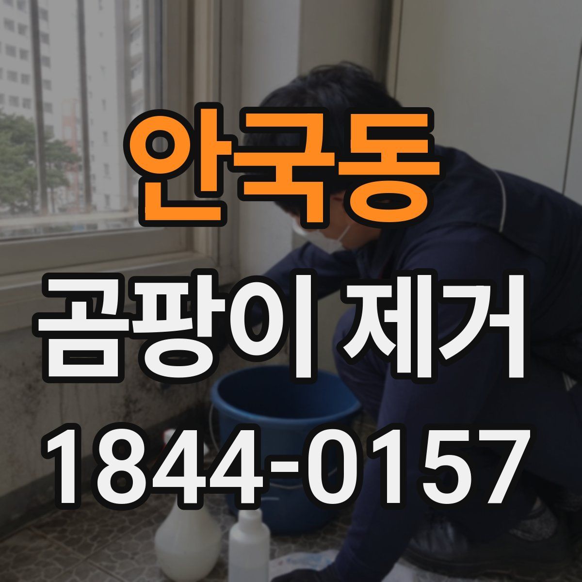 안국동 곰팡이 제거