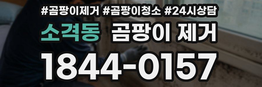 소격동 곰팡이 제거